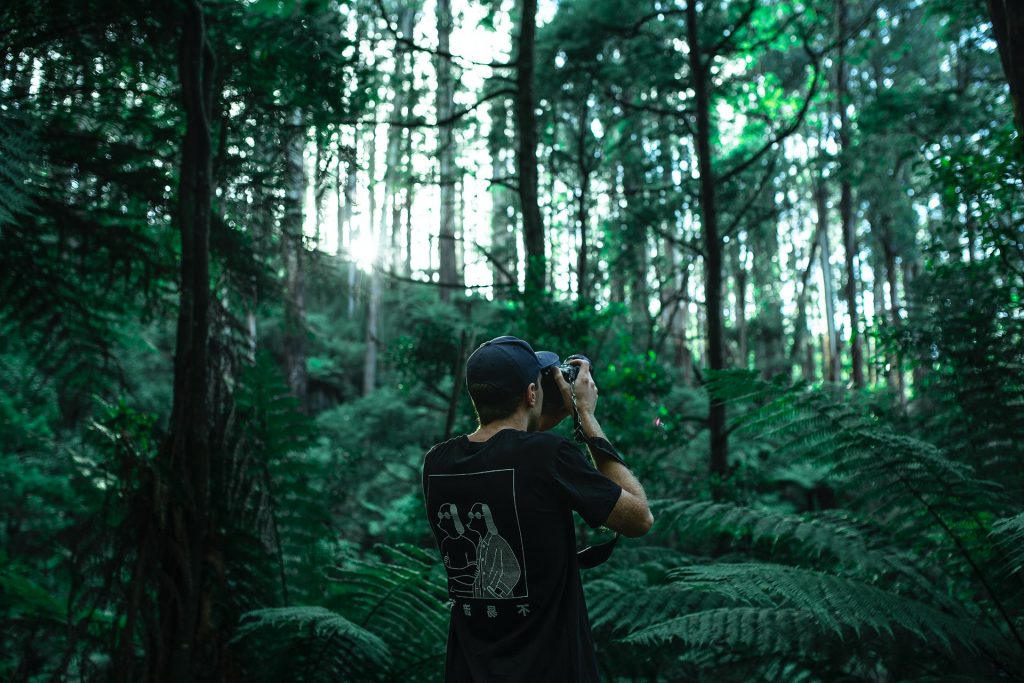 homme dans la forêt prenant des photos avec un appareil photo reflex
